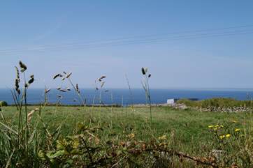The view from the cottage.