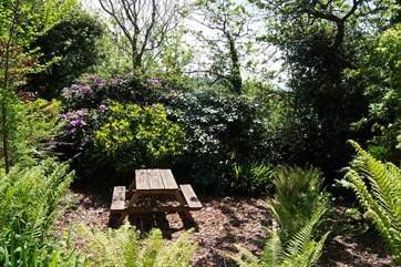 On the left is a little glade with a picnic bench.