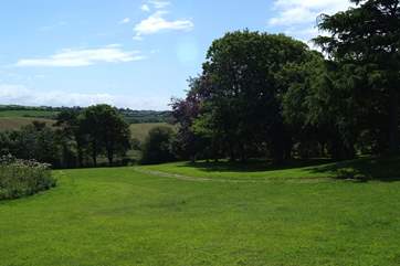 The grounds surrounding Fig Tree Cottage are very peaceful - you are welcome to explore the woodland and to enjoy the meadow.