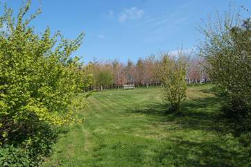 Find a peaceful bench with valley views and spend some 'you' time switching off from the pressures of daily life.