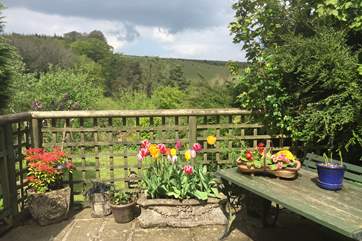 Such a pretty outside space.