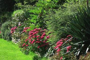 Garden borders in September are beautiful.