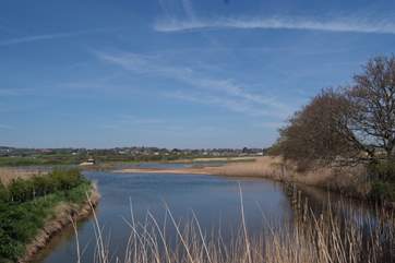 Another newly created visitor attraction is the Seaton Wetlands - a peaceful nature reserve which attracts many species of birds.