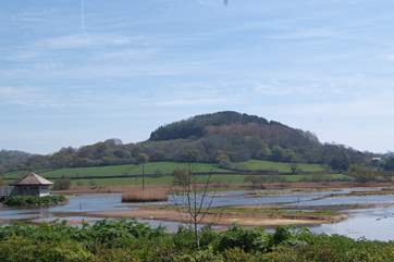 You can visit the Seaton Wetlands any time but the bird hides are not open every day so do check.