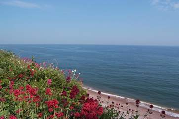 The east Devon coast is an easy drive away.