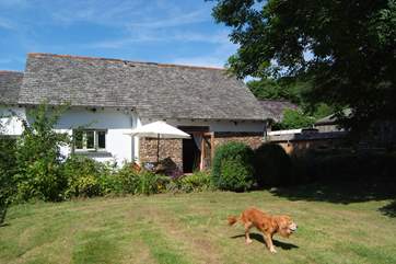 This semi-detached cottage has an enclosed back garden with a little gate leading to an orchard area beyond it.