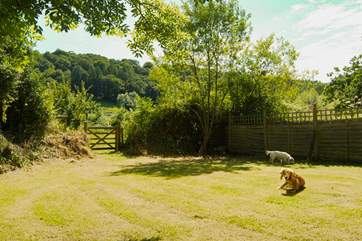 There is a great area of lawn in the garden. The little gate at the end leads into an orchard.