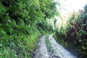 There is a short unmade track from the main road up to the cottage. There is an ancient drover's track off it - a great first walk to find out about your surroundings.