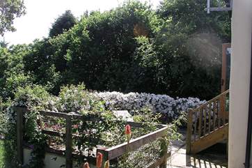 A view from the barbecue-area towards the patio.