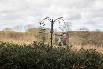 At Larkworthy Cottage you are treated to some very special neighbours.