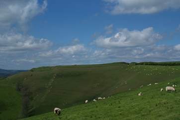 This stunning iron age fort, Eggardon Hill, is just the other side of Bridport.
