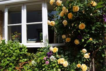This cottage even has summer roses climbing at the front.