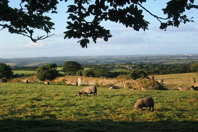 A view from the field near the cottage, with the sea at Porthleven visible to the right in the distance, and Goonhilly to the left.