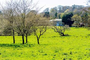 The house in the distance.