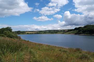 Wimbleball Lake is a lovely local place for walks, picnics, water sports and cafe.