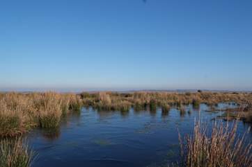 Whatever the time of year, Exmoor is a stunning place to visit, with its wide open moorland, panoramic views and tranquility.