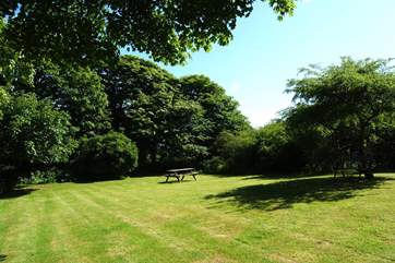 Your garden.