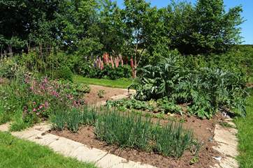 Guests are welcome to vegetables and herbs from the Owners' vegetable garden.