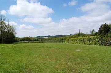 Here is another view of the paddocks, a fantastic area for exercising your dog.