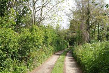 A view in spring of the narrow unmade farm track leading down to the cottage.