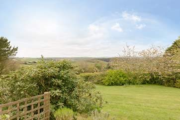 Plenty of space for children and dogs to explore.