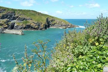 The harbour from the cliff edge at Port Isaac.