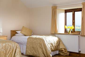 A double and single bed in the family bedroom.