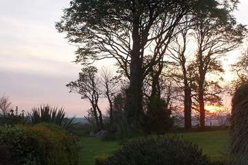 Dusk as seen from the patio.
