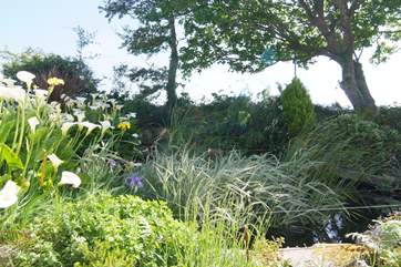 The beautiful pond outside The Summer House.