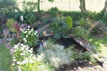Looking down at the pond from the bedroom.
