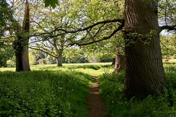 There are some wonderful walks on the doorstep. The Perrott Trail can be joined just a short stroll away through the grounds of Manor Farm