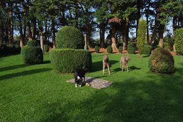 As well as the meadow that surrounds The Pump House, you have this wonderful garden all to yourselves.