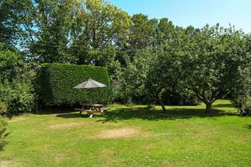 Plenty of space on the big lawn for games.
