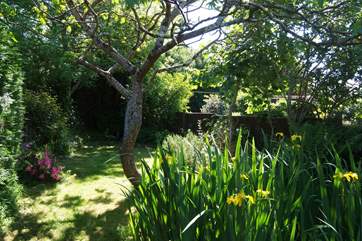 The pretty little 'hidden' garden right at the end.