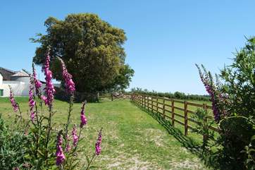 The shared lawn-area is securely fenced off from the farmland.