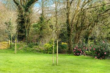 The garden is a delight whatever the season