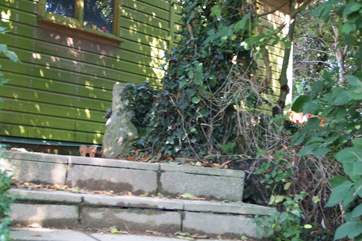 Steps lead from the car park down to the house.