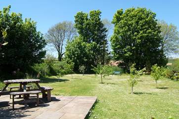 The sunny patio in the orchard.