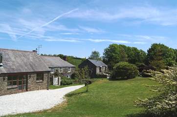 The cottage is just across the driveway from the orchard.