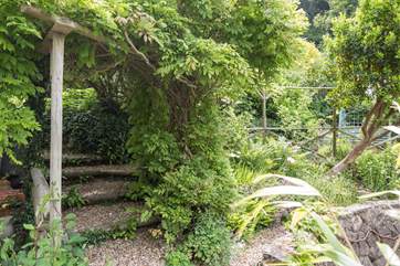 The gardens that surround Little Woodlands are charming, there are quite a few steps between the different areas.