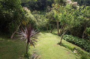 Little Woodlands is surrounded by beautifully well-stocked gardens, you may also meet a few pheasants who visit the Owners' garden.