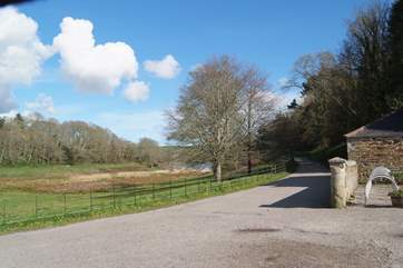 The paths and tracks take you around the lake and into the woodlands.