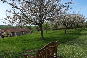 Stay in the spring and early summer and you will be treated to an amazing display of blossom.