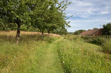 The orchard area is just above the cottage and you have some lovely views right over the property to the countryside beyond.