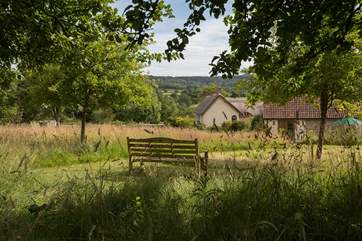 This is a view from the top of the orchard, looking back at the cottage to the right, and the Owner's historic house to the left.