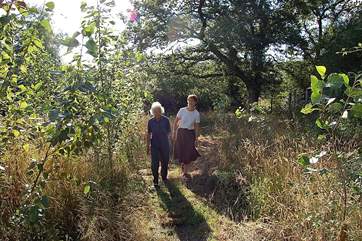 Woodland walks.