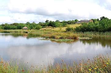 The lake in the Owners' grounds.
