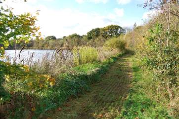 The path around the lake in autumn.