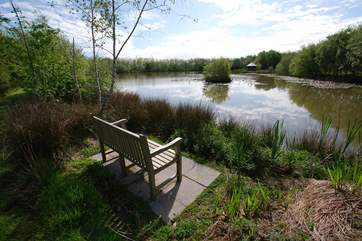 A great place to take in the view and watch the wildlife.