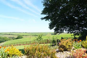 The view from the courtyard.